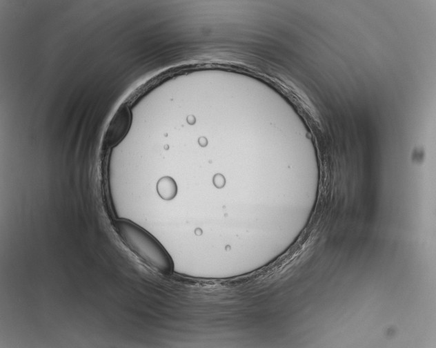 X0000116290784201001111055