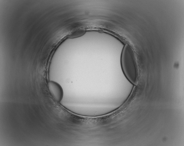 X0000116290785201001111055