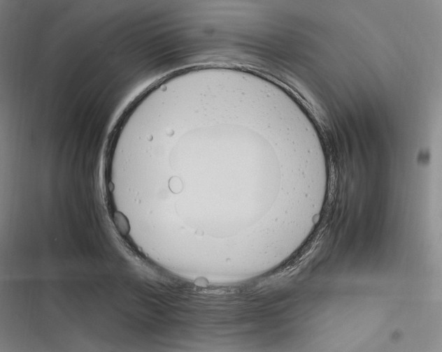 X0000116290788201001111055