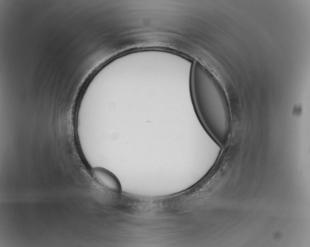 X0000116290789201001111055