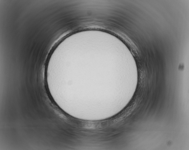 X0000116290790201001111055