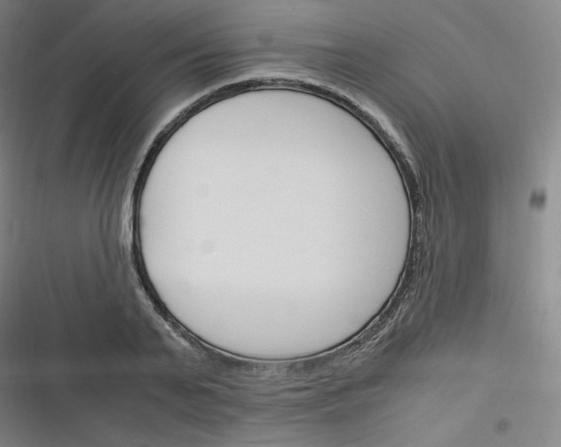 X0000116290791201001111055