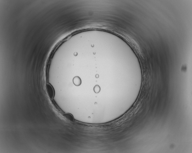 X0000116290792201001111055