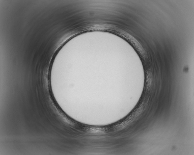 X0000116290794201001111055