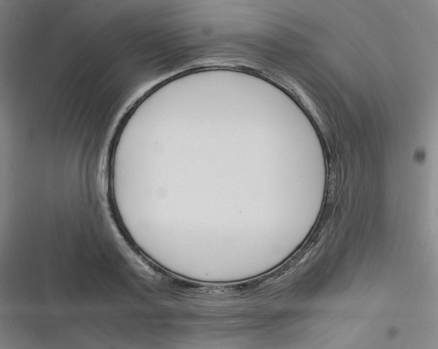 X0000116290795201001111055