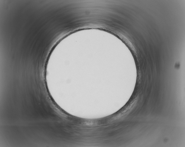 X0000116290797201001111055