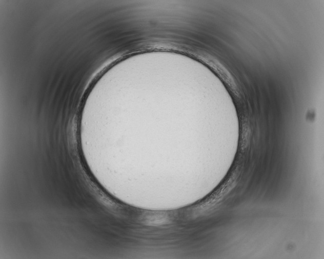 X0000116290798201001111055