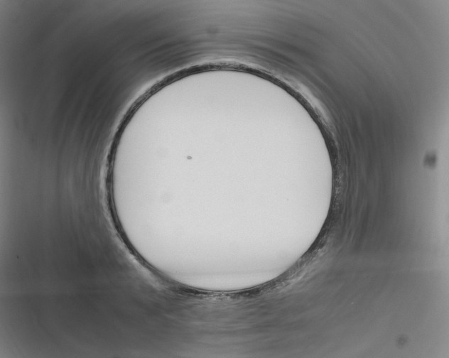 X0000116290799201001111055