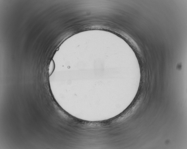 X0000116290801201001111055