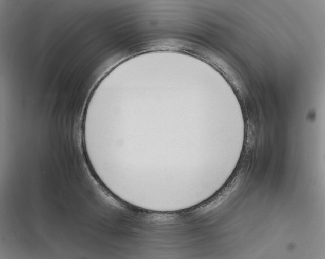 X0000116290802201001111055