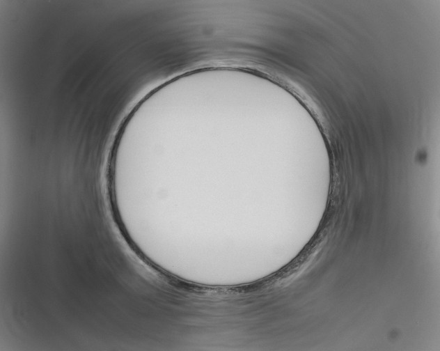 X0000116290803201001111055