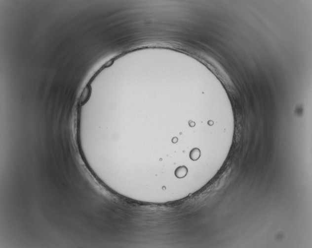 X0000116290804201001111055