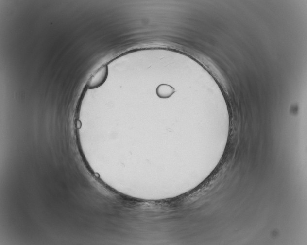 X0000116290805201001111055