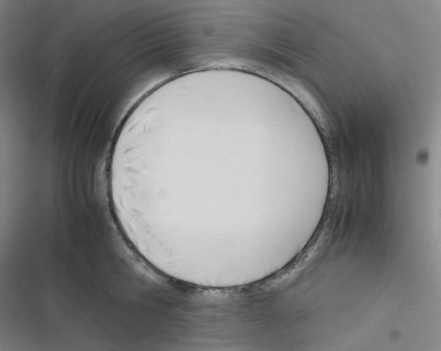 X0000116290806201001111055