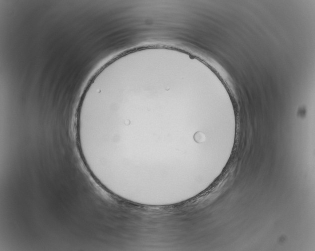 X0000116290807201001111055