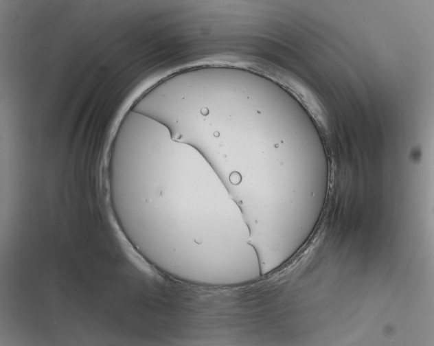 X0000116290808201001111055