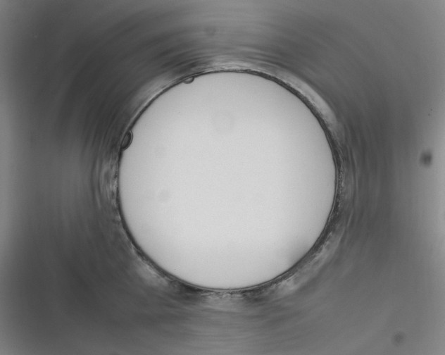 X0000116290809201001111055