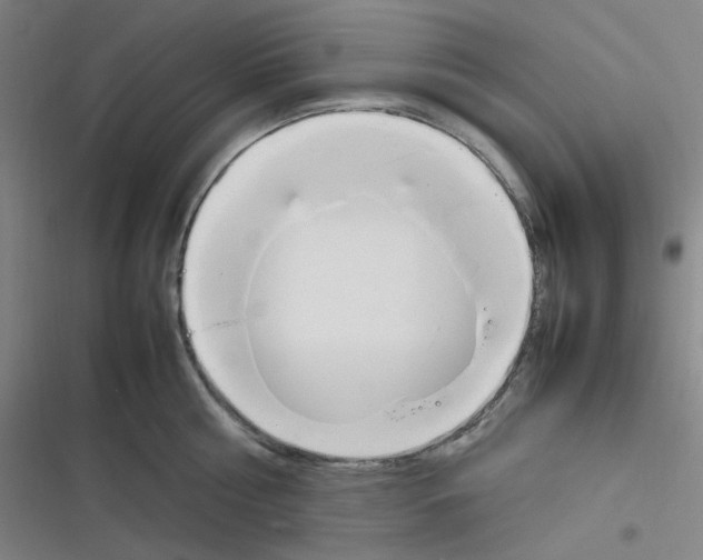 X0000116290810201001111055