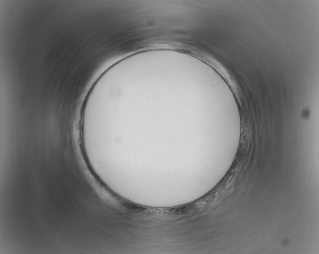 X0000116290811201001111055