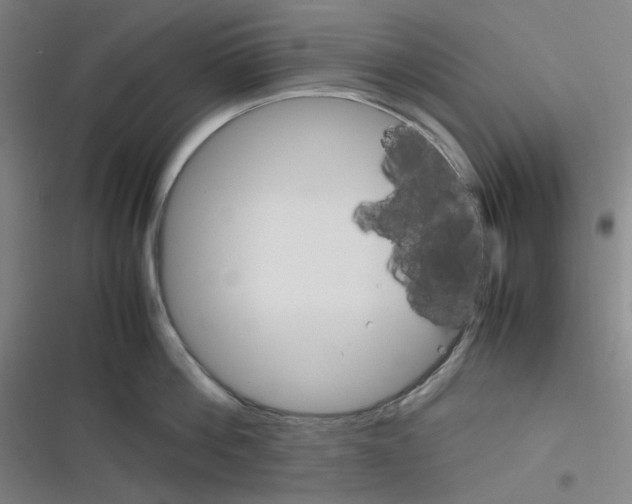 X0000116290812201001111055