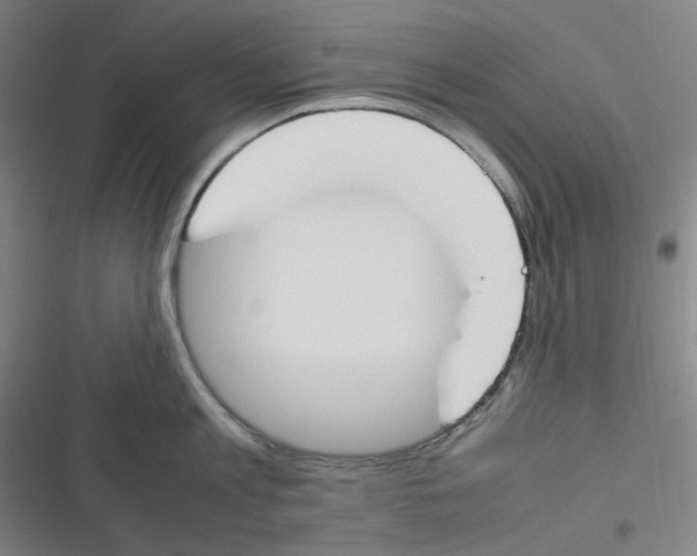 X0000116290813201001111055