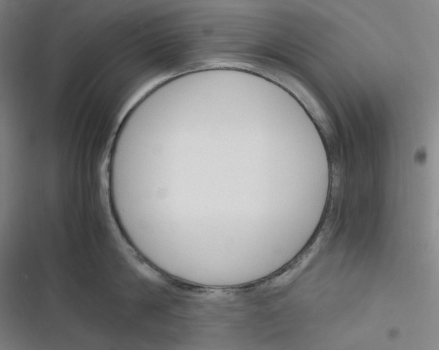 X0000116290814201001111055