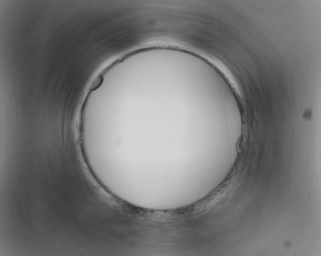 X0000116290815201001111055