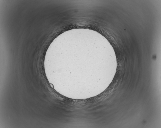 X0000116290817201001111054