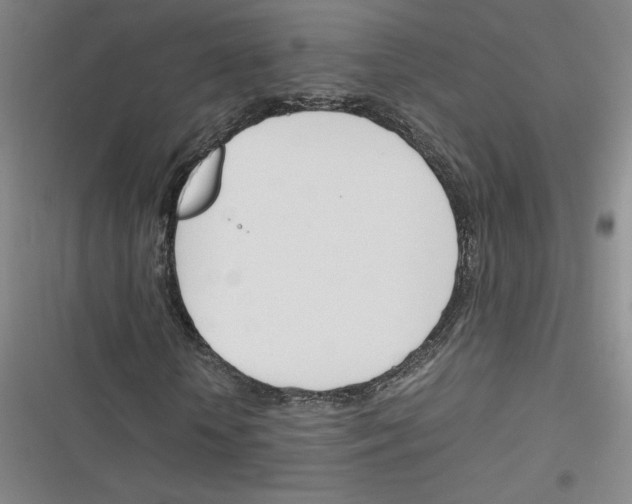 X0000116290818201001111054