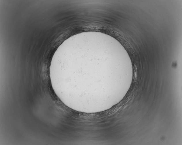 X0000116290819201001111054