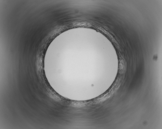 X0000116290820201001111054