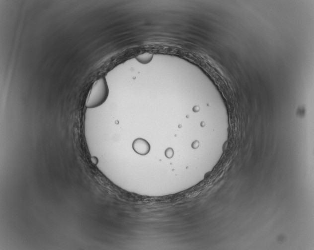 X0000116290821201001111054