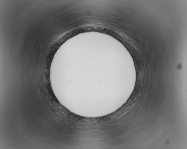 X0000116290822201001111054