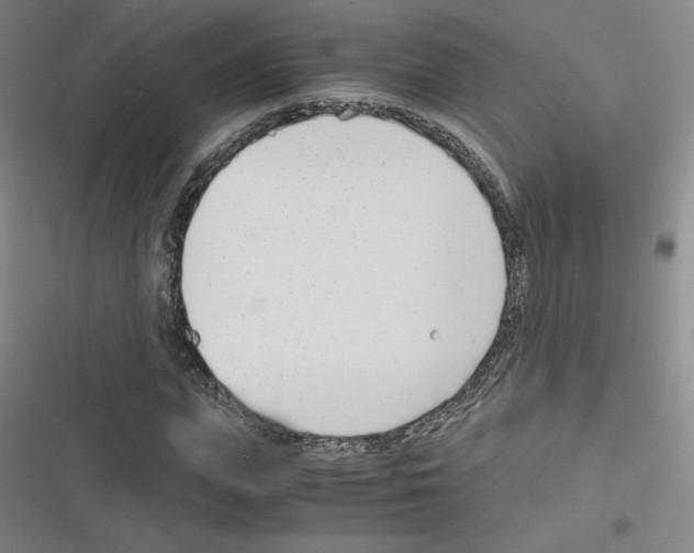 X0000116290823201001111054