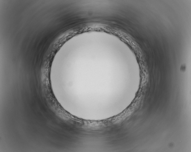 X0000116290824201001111054