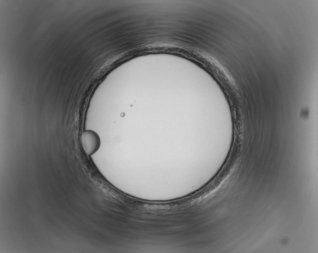 X0000116290825201001111054