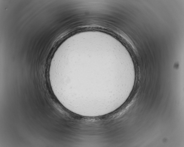 X0000116290826201001111054