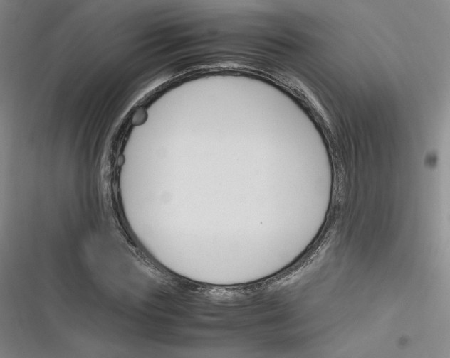 X0000116290827201001111054