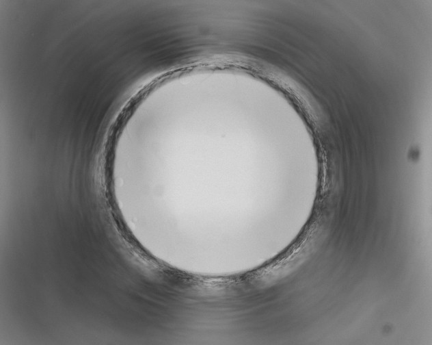 X0000116290828201001111054