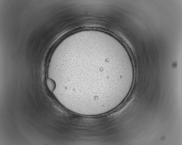 X0000116290829201001111055