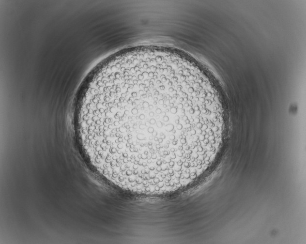 X0000116290830201001111055