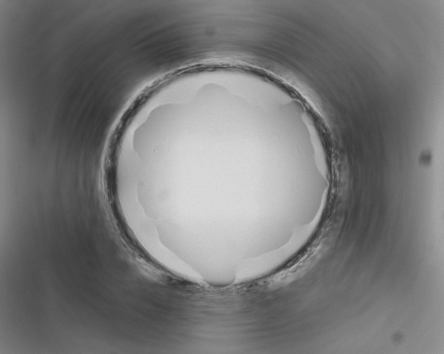 X0000116290832201001111055