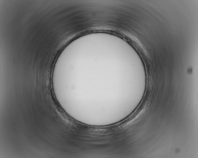 X0000116290833201001111055