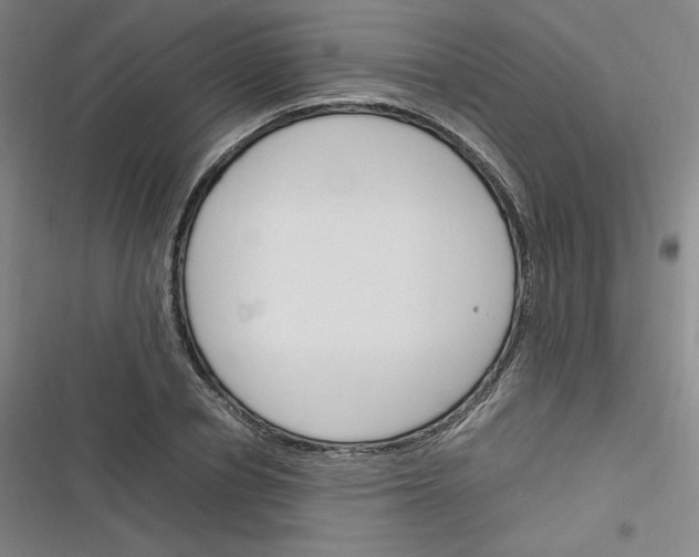 X0000116290834201001111055