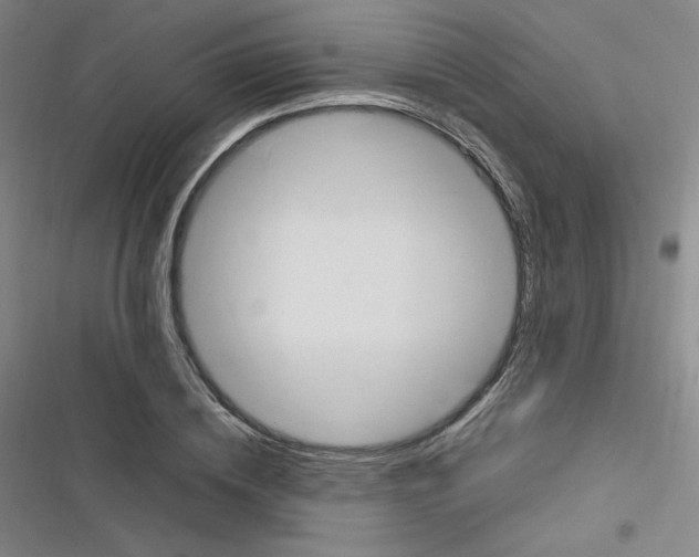 X0000116290836201001111055