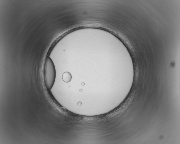 X0000116290840201001111055