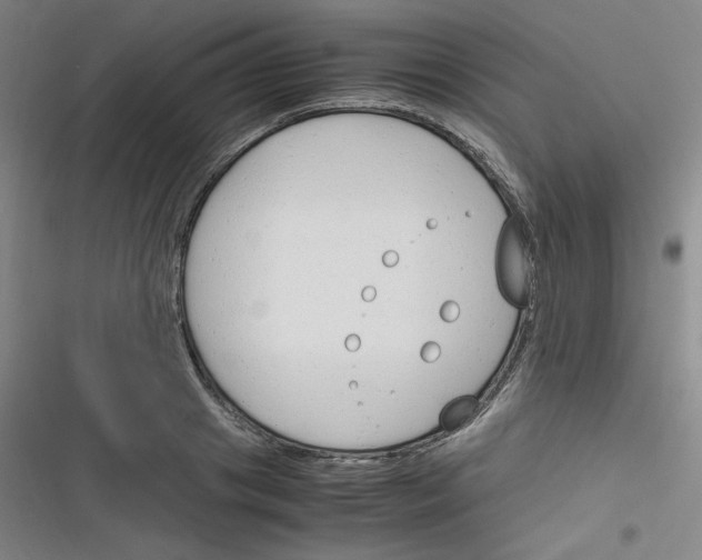 X0000116290841201001111055