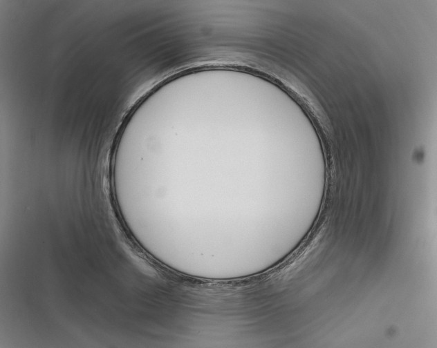 X0000116290842201001111055