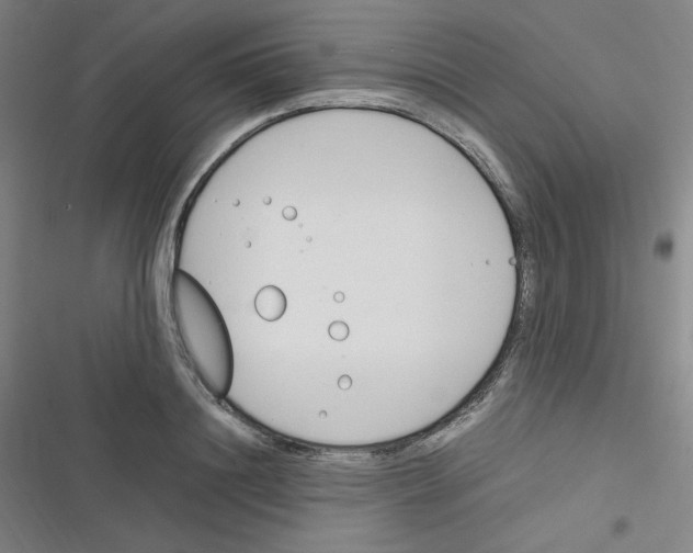 X0000116290844201001111055