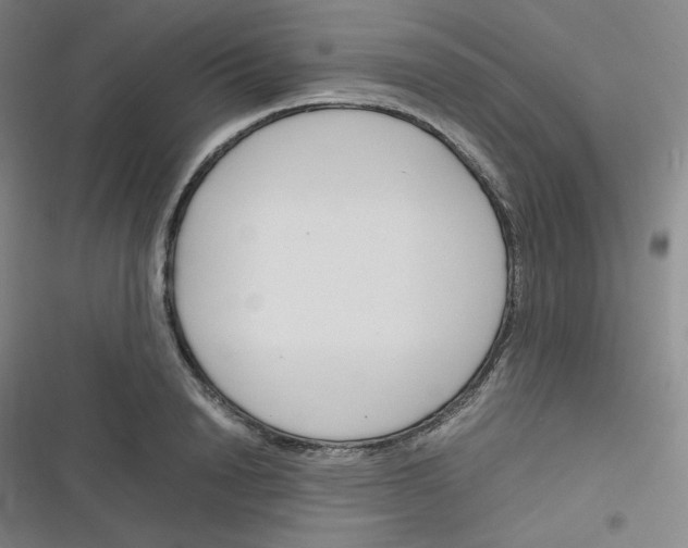 X0000116290846201001111055